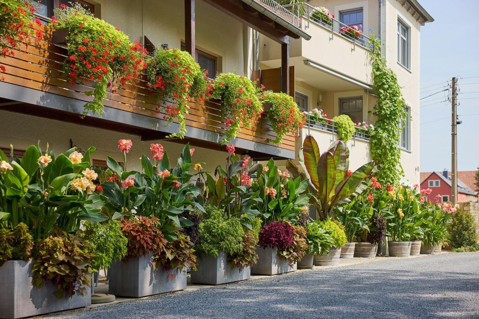 Hotel Garni Sonnenhof Reichenberg  Εξωτερικό φωτογραφία